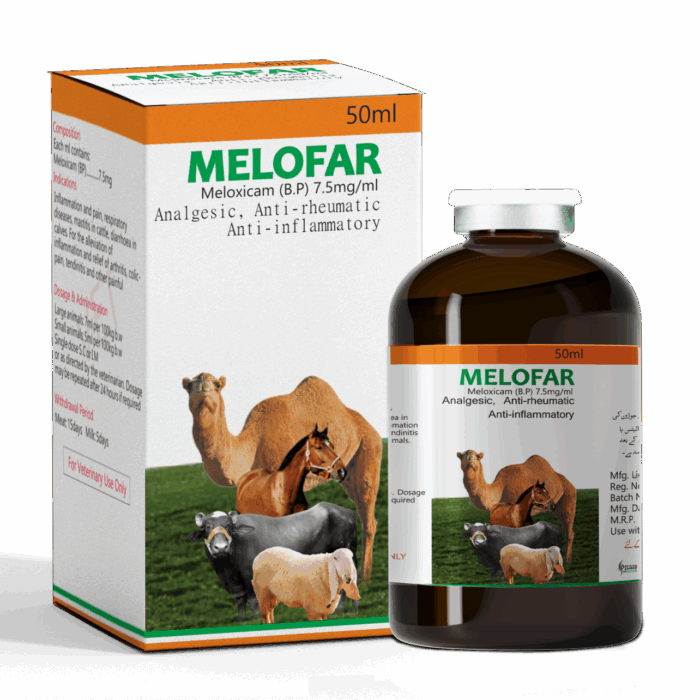 MELOFAR